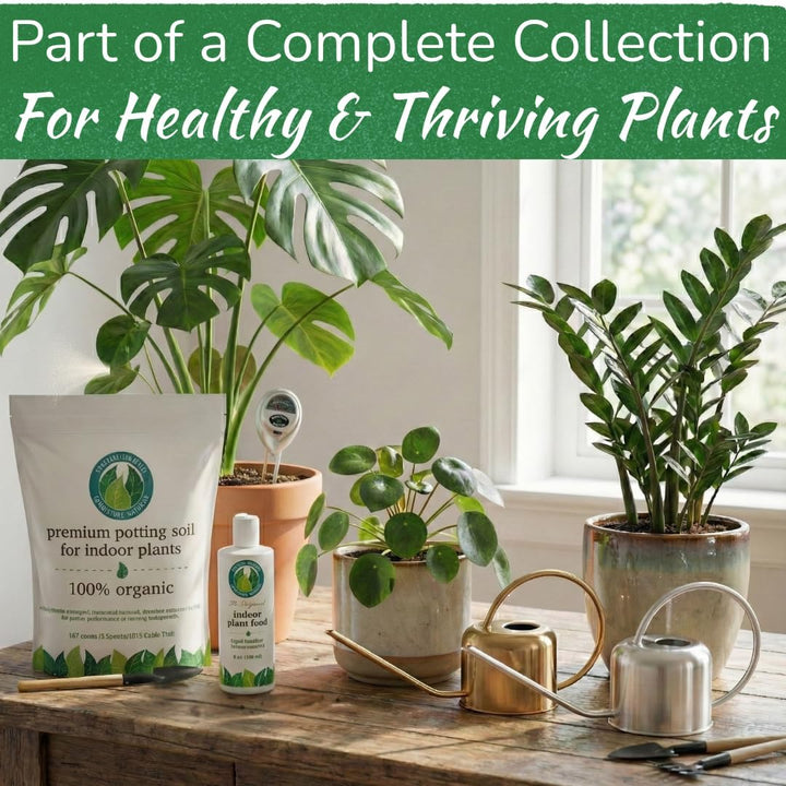 Stainless Steel Watering Can for Houseplants | 1L Capacity