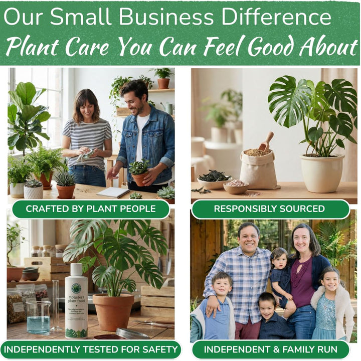Monstera Plant Food – Enriched, Bioavailable Liquid Fertilizer | 8 oz
