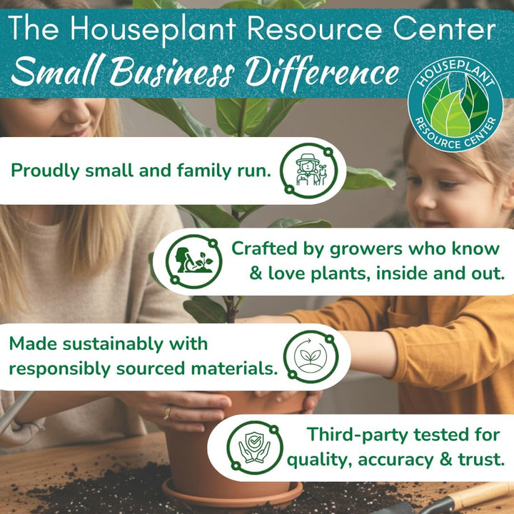 100% Organic Bonsai, Succulent, Cactus Soil Mix — Nutrient Rich, Well-Draining Living Soil Blend | 6.55 quarts