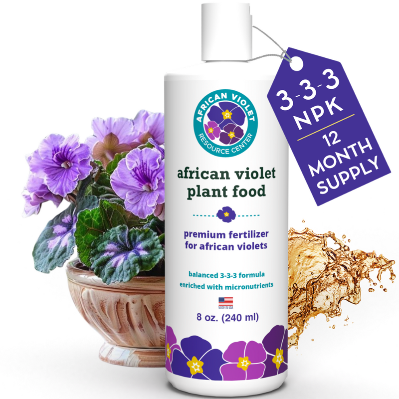African Violet |Plant Food