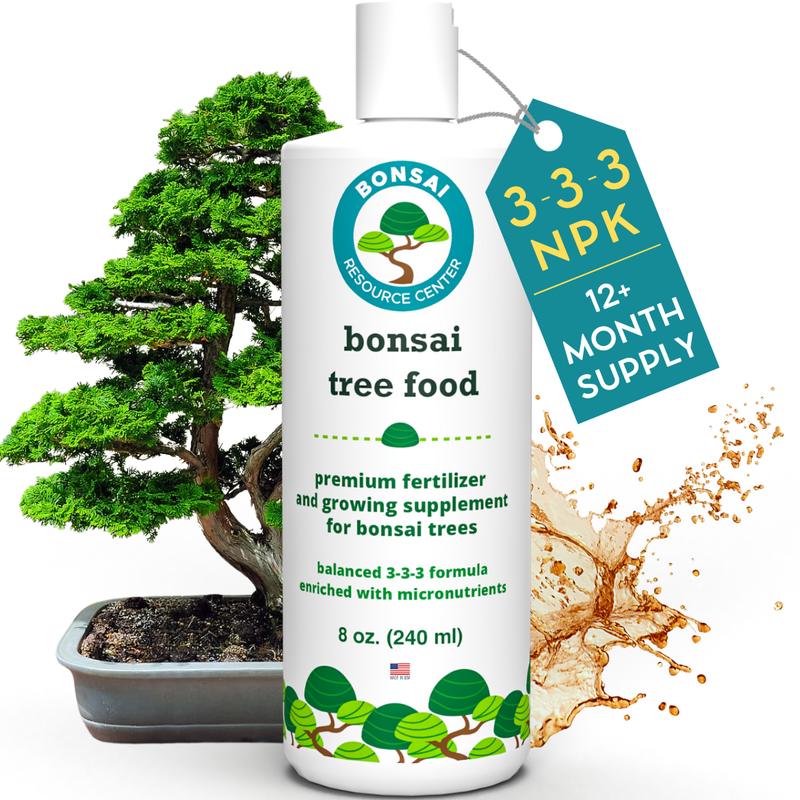 Bonsai Plant |Food
