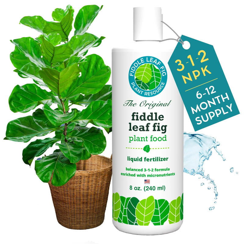 Fiddle Leaf Fig | Plant Food