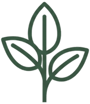 Houseplant Resource Center