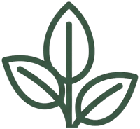 Plant Icon Small