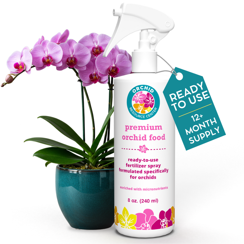 Orchid |Plant Food