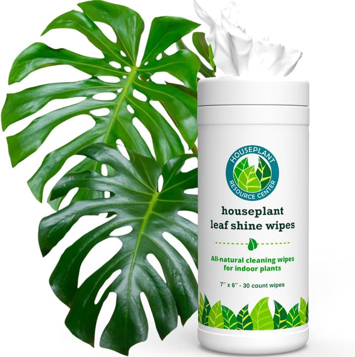 Leaf Cleaner Wipes for House Plants – Natural Leaf Polish, Gloss, and Shine | 30 count