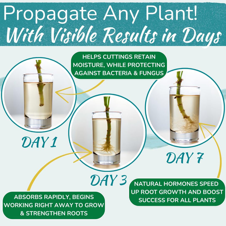Houseplant Prop Drops – Propagation Promoter & Root Growth Hormone | 8 oz