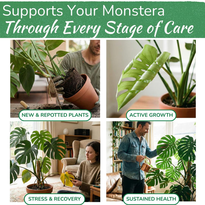 Monstera Plant Food – Enriched, Bioavailable Liquid Fertilizer | 8 oz
