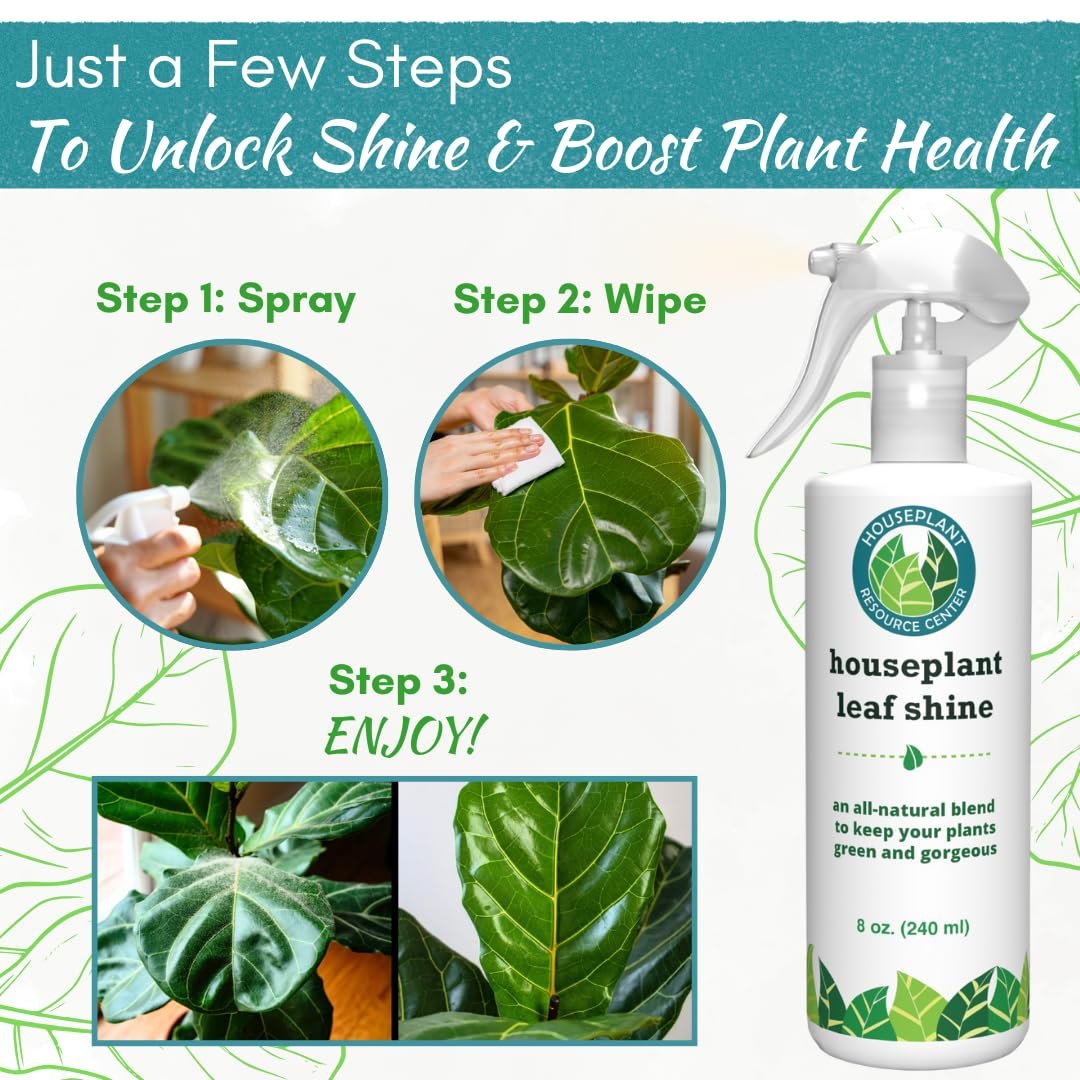 indoor plant leaf shine spray Leaf Shine Spray – Natural Leaf Polish, Gloss, and Shine