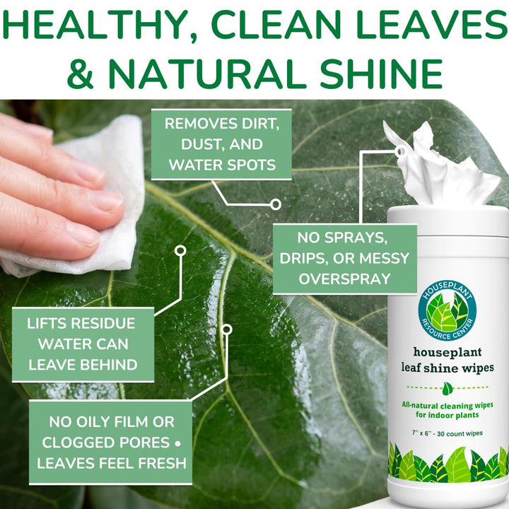 Leaf Cleaner Wipes for House Plants – Natural Leaf Polish, Gloss, and Shine | 30 count