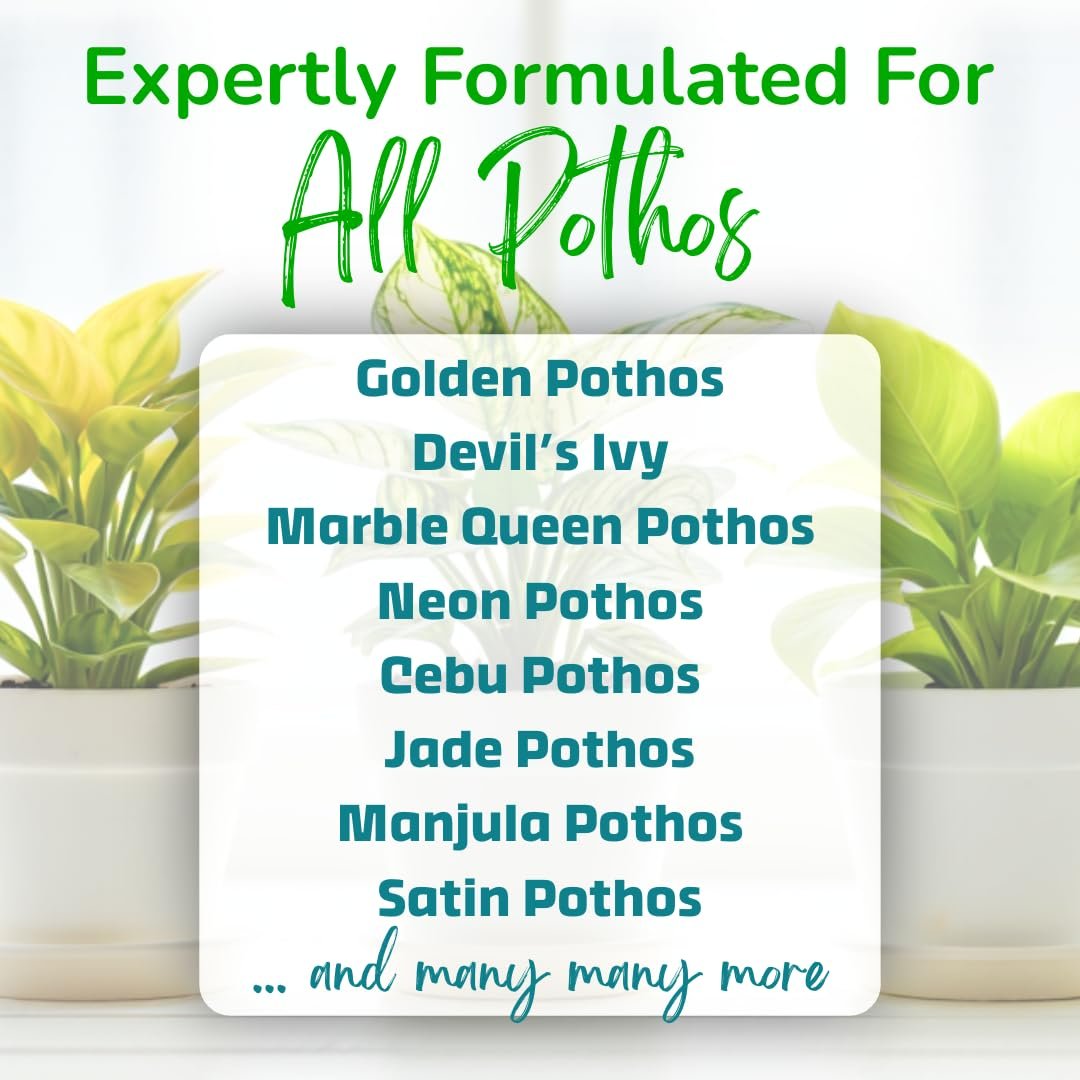 pothos plants care tips Pothos Plant Food – Enriched, Bioavailable Liquid Fertilizer