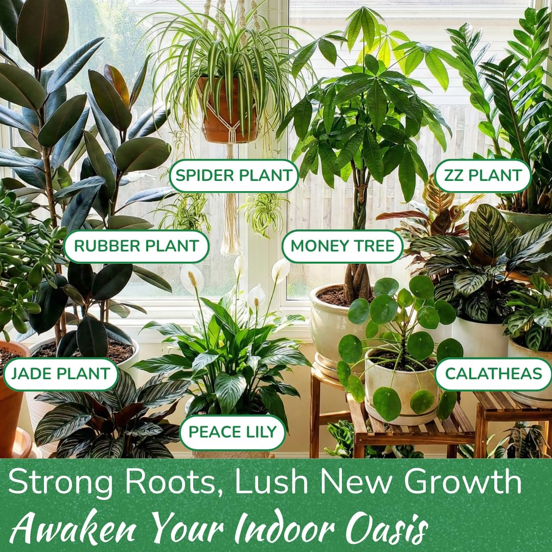 indoor plant sales Indoor Plant Food - Versatile, Bioavailable Liquid Fertilizer