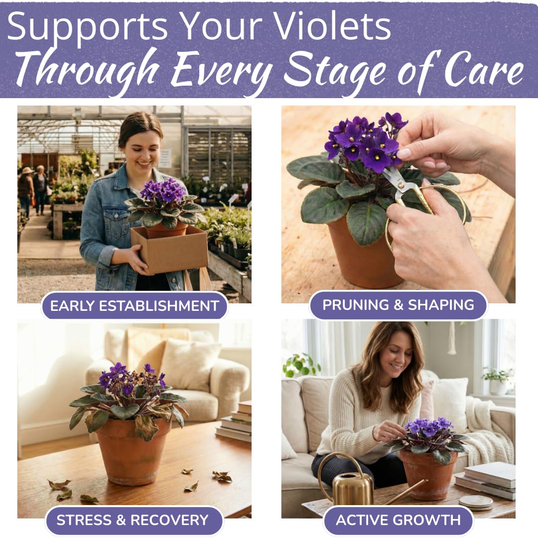 African Violet Plant Food – Enriched, Bioavailable Liquid Fertilizer | 8 oz