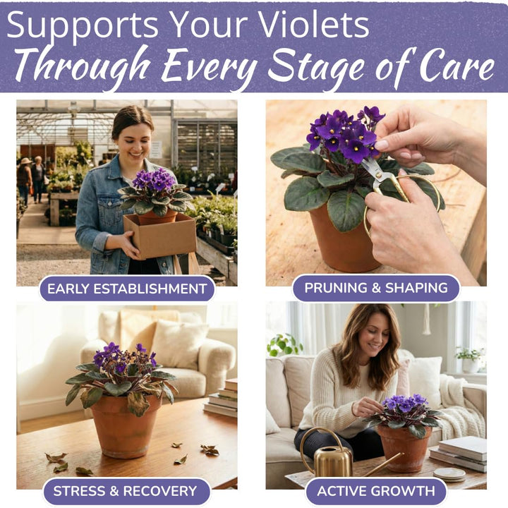 African Violet Plant Food – Enriched, Bioavailable Liquid Fertilizer | 8 oz