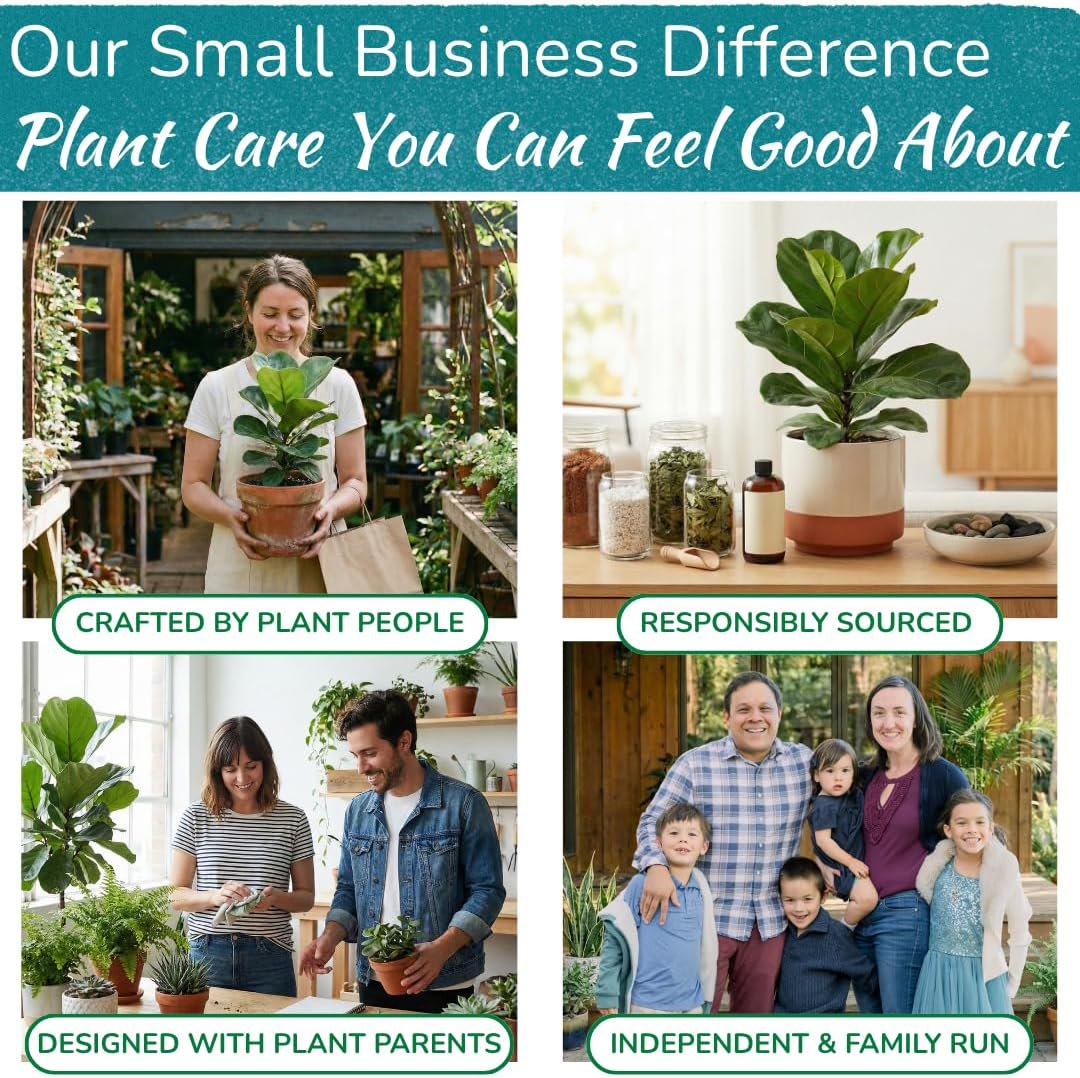 Fiddle Leaf Fig 3-in-1 Soil Meter — Measures Light, Moisture & pH for Optimal Growth | Battery-Free