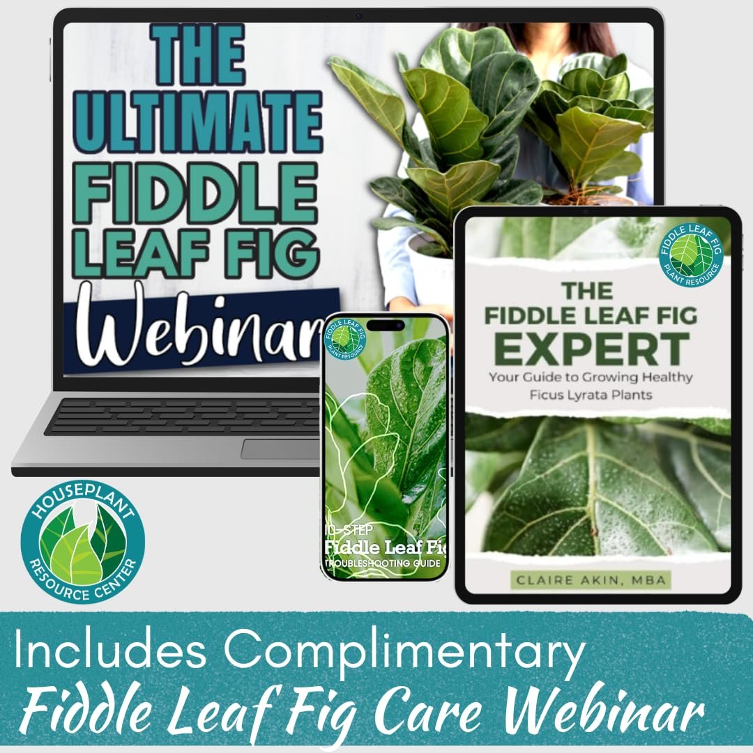 The Original Fiddle Leaf Fig Plant Food – Enriched, Bioavailable Liquid Fertilizer | 8 oz