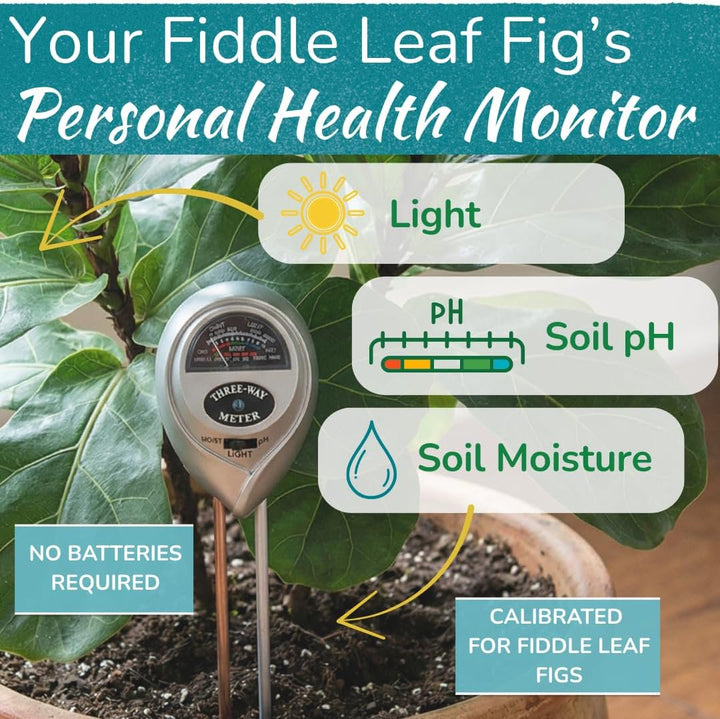 Fiddle Leaf Fig 3-in-1 Soil Meter — Measures Light, Moisture & pH for Optimal Growth | Battery-Free