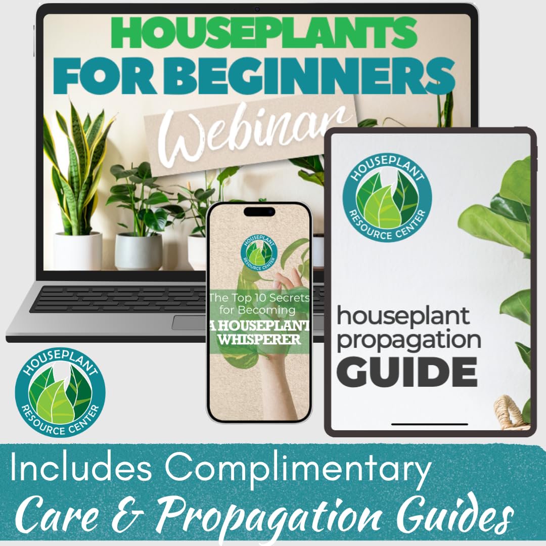 Houseplant Prop Drops – Propagation Promoter & Root Growth Hormone | 8 oz