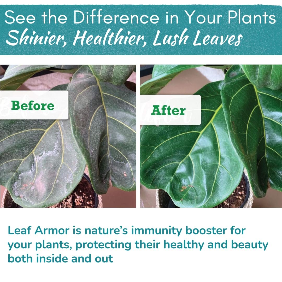 best leaf shine for fiddle leaf fig Leaf Armor – Natural Plant Leaf Protectant and Shine Spray