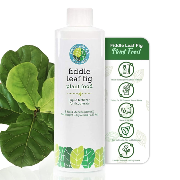 The Original Fiddle Leaf Fig Plant Food – Enriched, Bioavailable Liquid Fertilizer | 8 oz