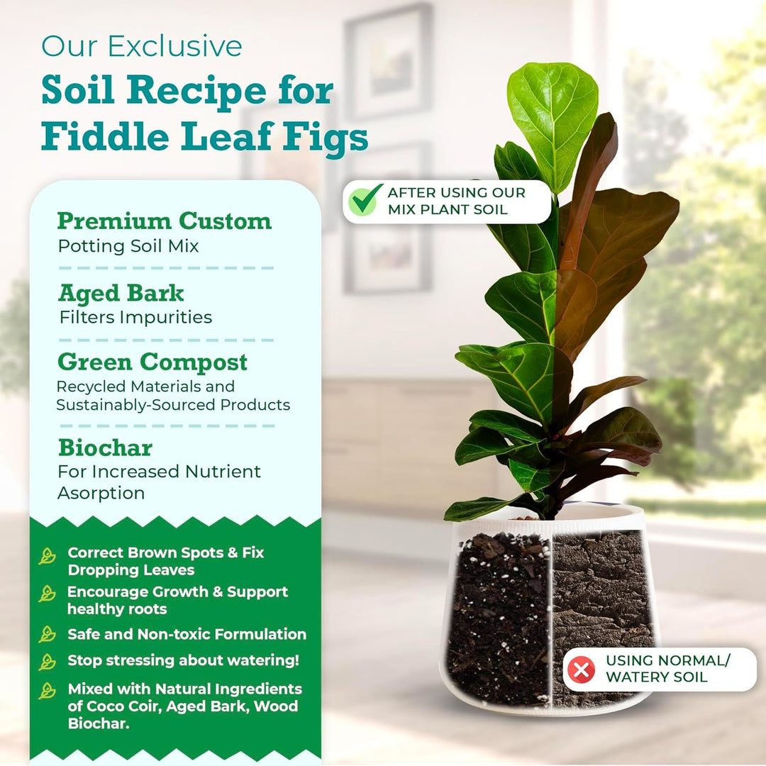 fiddle leaf fig soil home depot 100% Organic Fiddle Leaf Fig Potting Soil Mix — Nutrient Rich, Well-Dr – Houseplant Resource Center