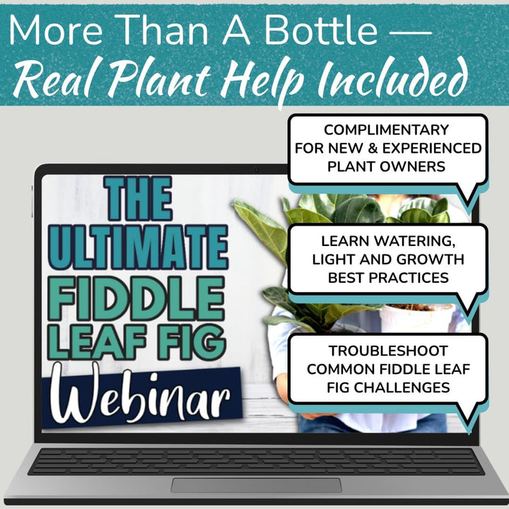 Fiddle Leaf Fig 3-in-1 Soil Meter — Measures Light, Moisture & pH for Optimal Growth | Battery-Free