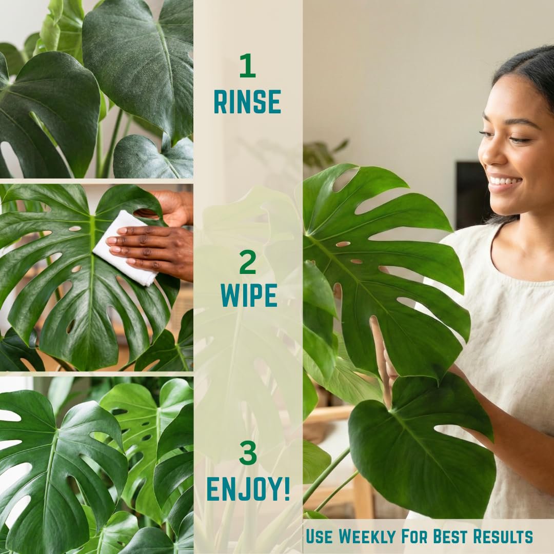 Leaf Cleaner Wipes for House Plants – Natural Leaf Polish, Gloss, and Shine | 30 count