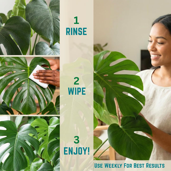 Leaf Cleaner Wipes for House Plants – Natural Leaf Polish, Gloss, and Shine | 30 count