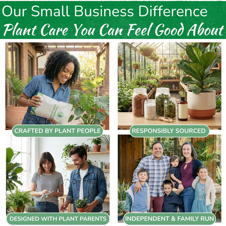 Smart Gravel Drainage Rocks for Potted Plants — Eco-Friendly Overwatering Solution | 2 lbs