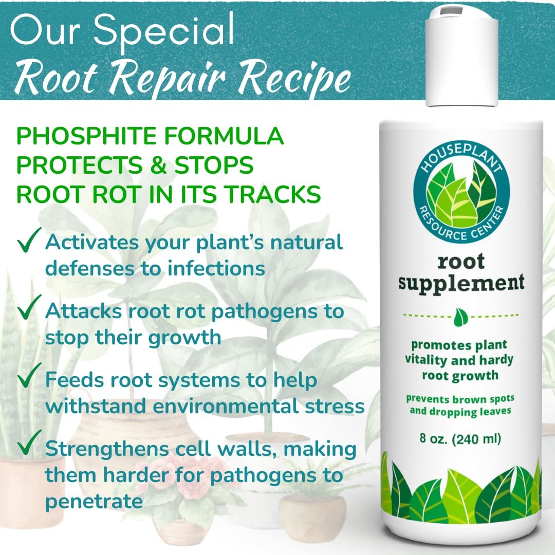 fiddle leaf fig root rot recovery Root Rot Repair - Recovery Drops Supplement