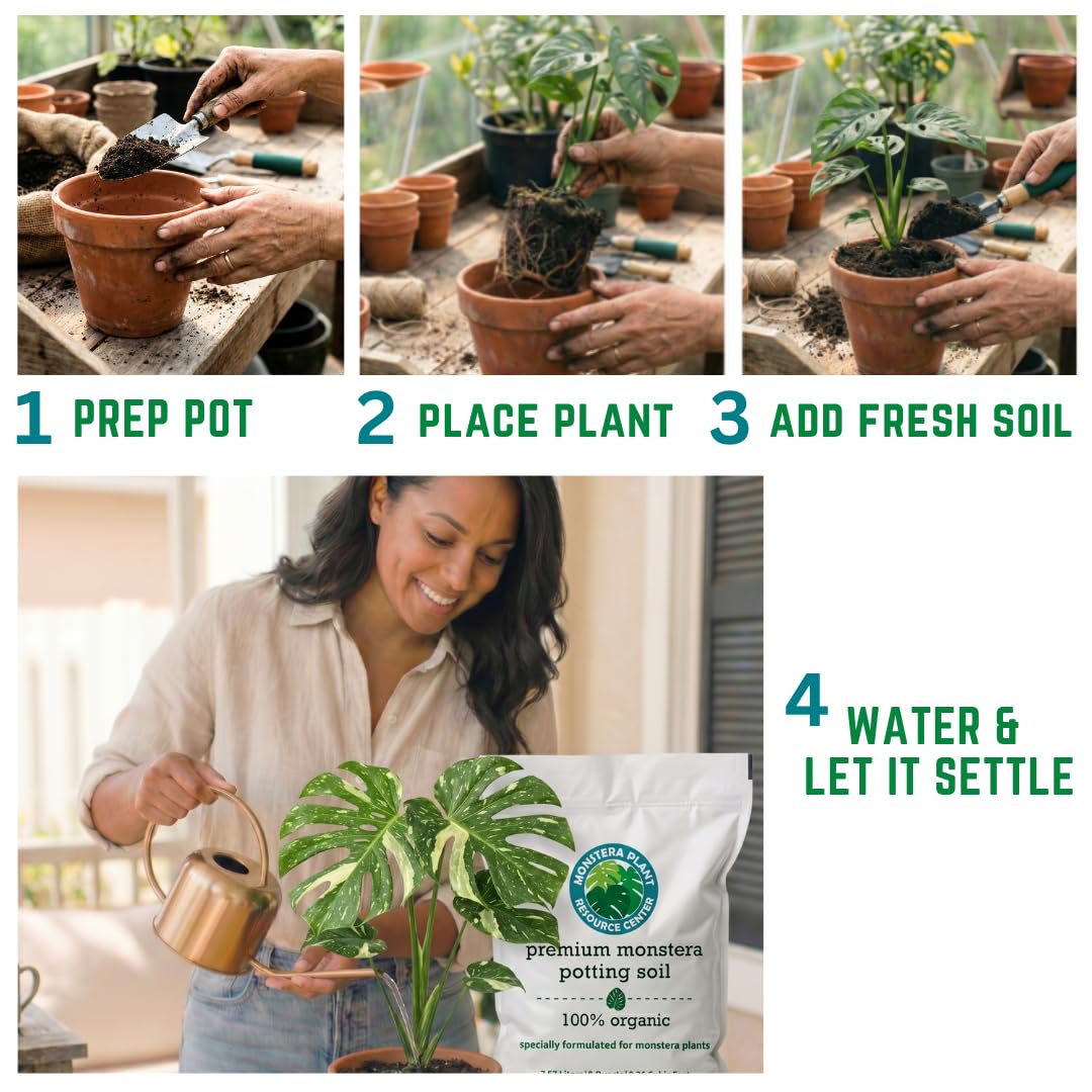 100% Organic Monstera Potting Soil Mix — Nutrient Rich, Well-Draining Living Soil Blend | 8 quarts