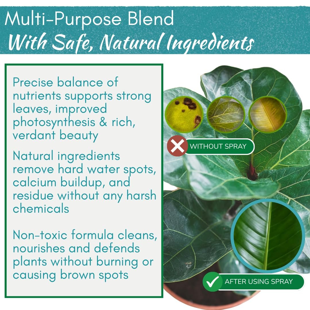 best leaf shine for fiddle leaf fig Leaf Shine Spray – Natural Leaf Polish, Gloss, and Shine