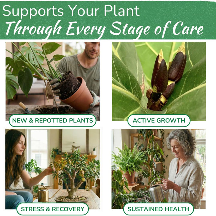 Indoor Plant Food - Versatile, Bioavailable Liquid Fertilizer | 8 oz