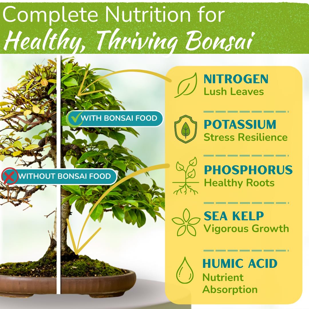 liquid fertilizer for bonsai trees Bonsai Tree Food – Enriched, Bioavailable Liquid Fertilizer