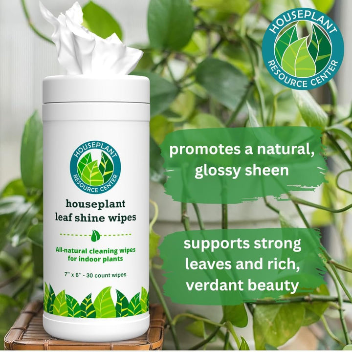 Leaf Cleaner Wipes for House Plants – Natural Leaf Polish, Gloss, and Shine | 30 count