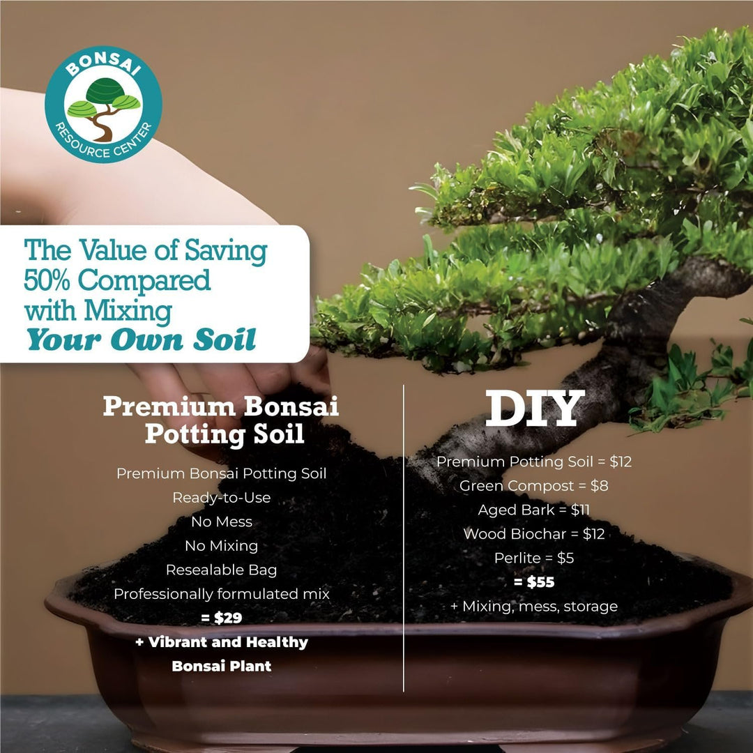 bonsai potting soil mix 100% Organic Bonsai, Succulent, Cactus Soil Mix — Nutrient Rich, Well-Draining Living Soil Blend