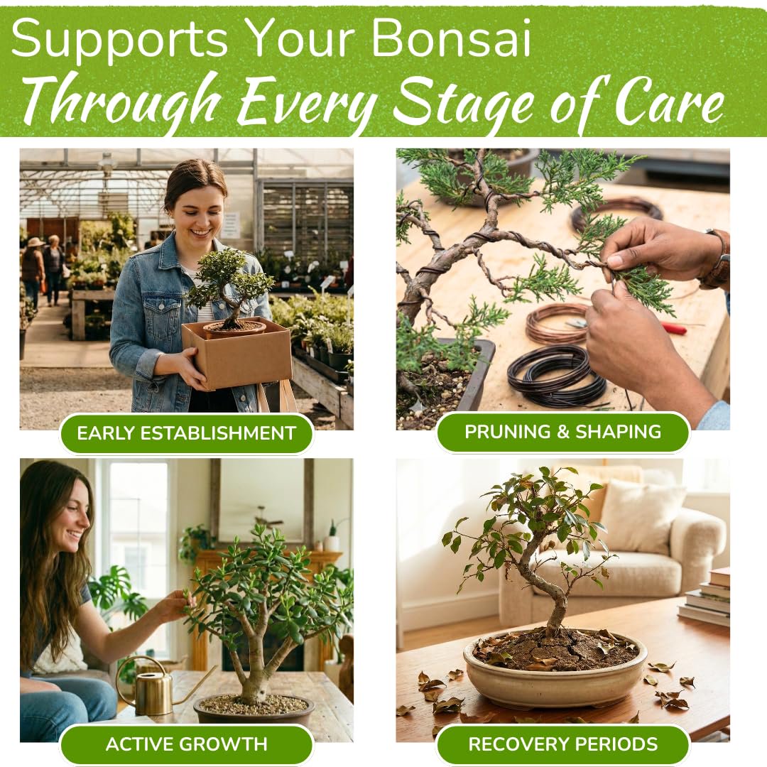 Bonsai Tree Food – Enriched, Bioavailable Liquid Fertilizer | 8 oz