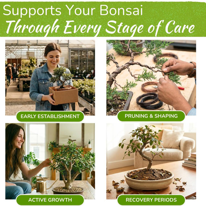 Bonsai Tree Food – Enriched, Bioavailable Liquid Fertilizer | 8 oz