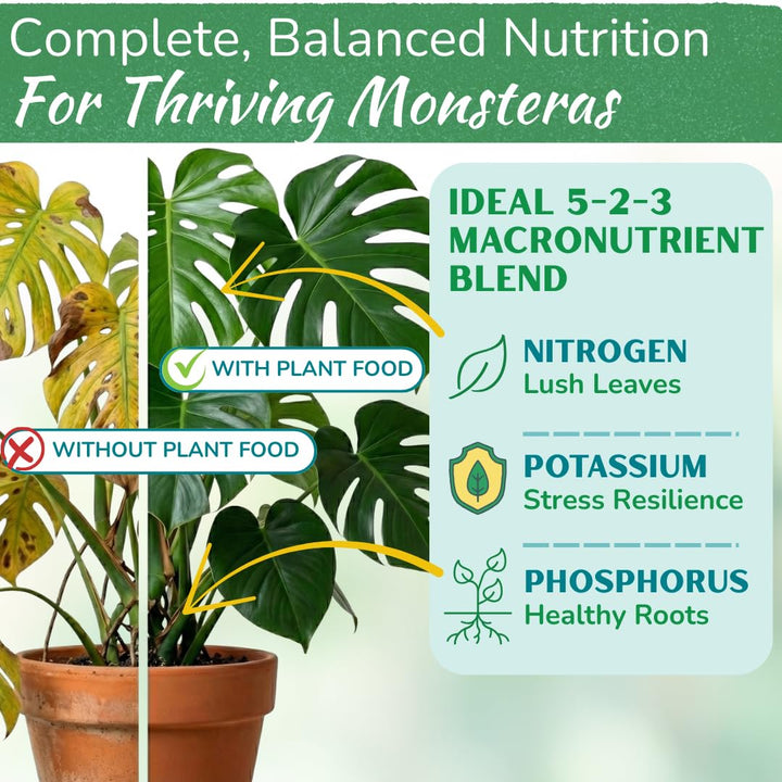 Monstera Plant Food – Enriched, Bioavailable Liquid Fertilizer | 8 oz