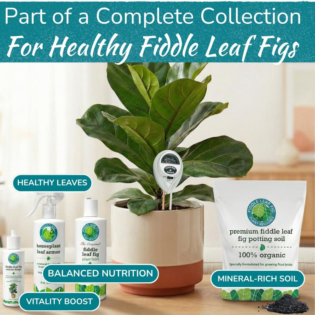 Fiddle Leaf Fig 3-in-1 Soil Meter — Measures Light, Moisture & pH for Optimal Growth | Battery-Free