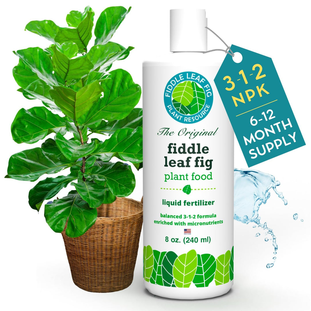 The Original Fiddle Leaf Fig Plant Food – Enriched, Bioavailable Liquid Fertilizer | 8 oz