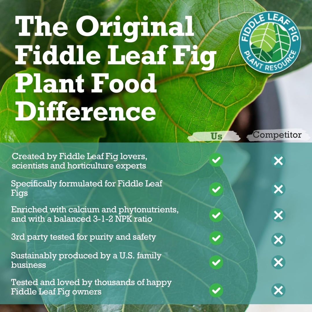 The Original Fiddle Leaf Fig Plant Food – Enriched, Bioavailable Liquid Fertilizer | 8 oz