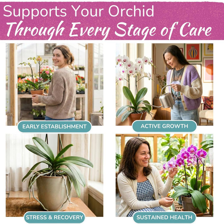 Orchid Food Spray – Enriched, Bioavailable Fertilizer Mist | 8 oz