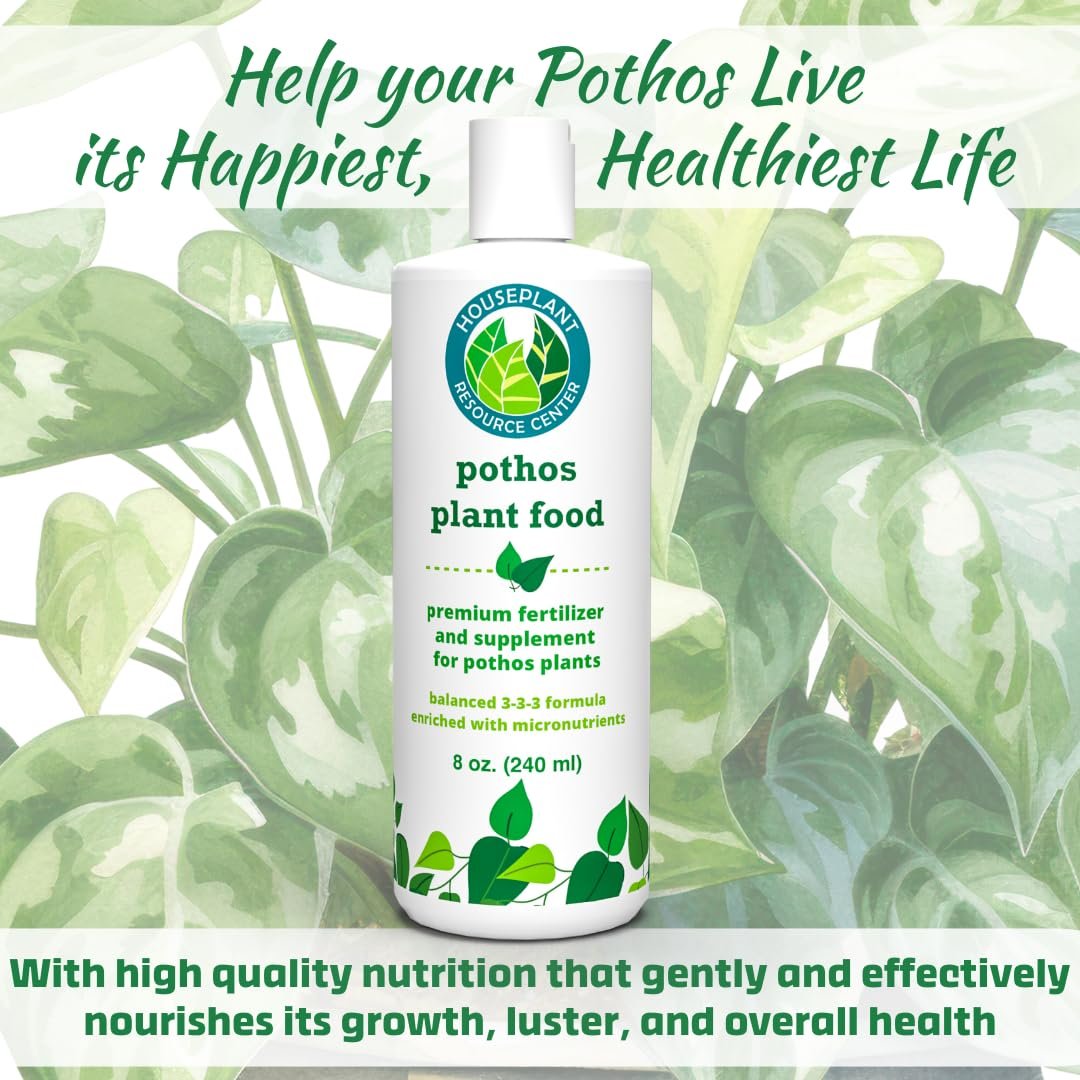do pothos need plant food Pothos Plant Food – Enriched, Bioavailable Liquid Fertilizer