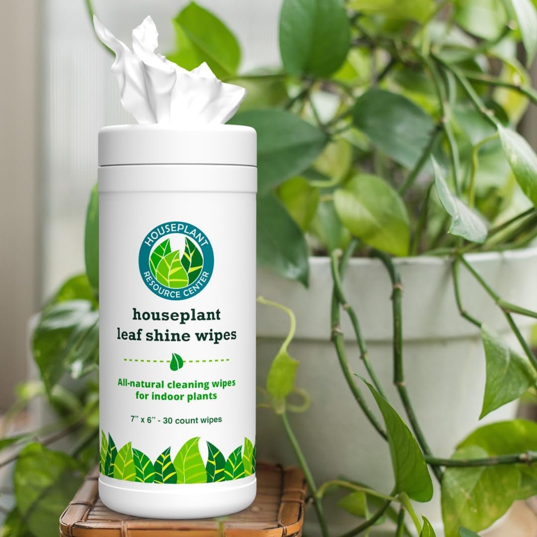 Leaf Cleaner Wipes for House Plants – Natural Leaf Polish, Gloss, and Shine | 30 count