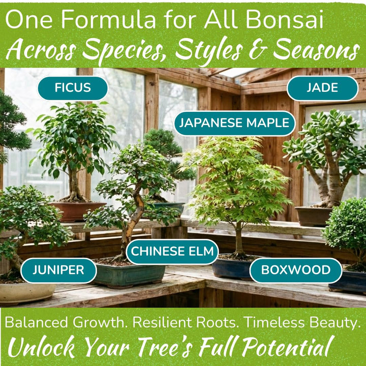 Bonsai Tree Food – Enriched, Bioavailable Liquid Fertilizer | 8 oz