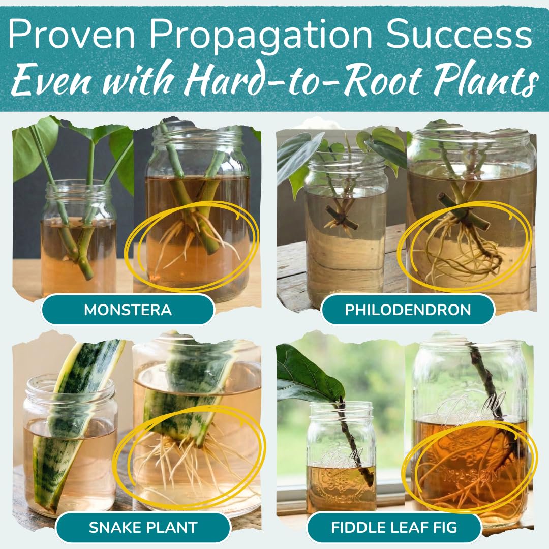 Houseplant Prop Drops – Propagation Promoter & Root Growth Hormone | 8 oz