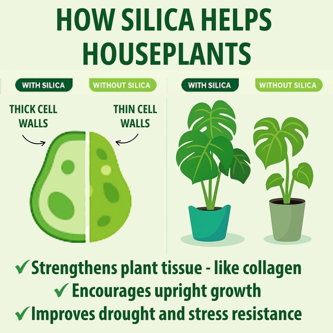 indoor plants that need potassium Silica Strength – Liquid Potassium Silica (4.5%) Concentrate