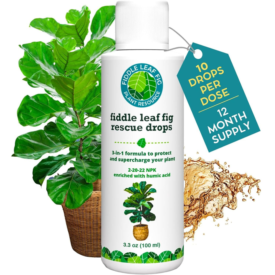 save my fiddle leaf fig Fiddle Leaf Fig Rescue Drops — Powerful Immunity Boosting Formula