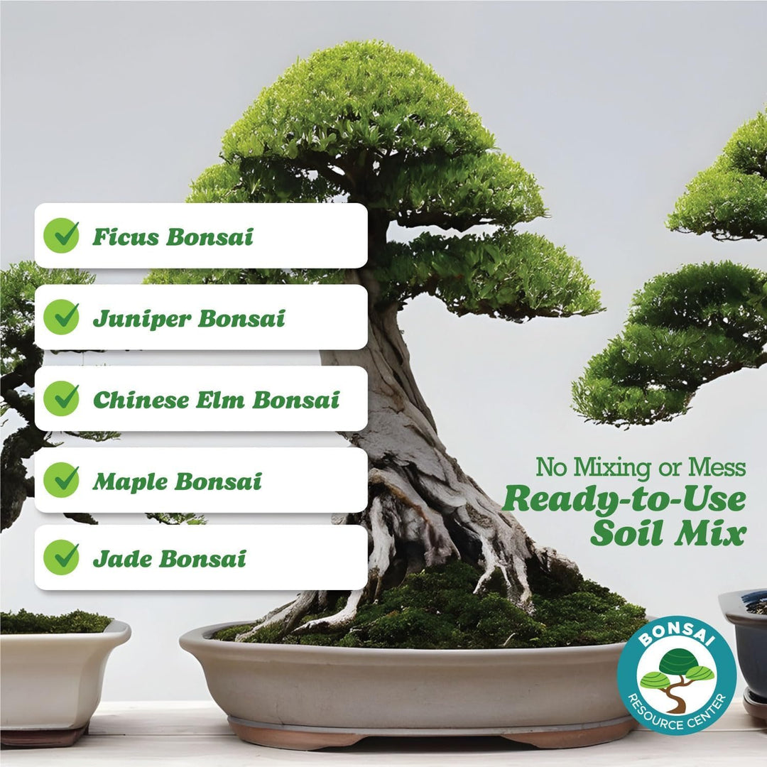 bonsai tree soil for sale 100% Organic Bonsai, Succulent, Cactus Soil Mix — Nutrient Rich, Well- – Houseplant Resource Center
